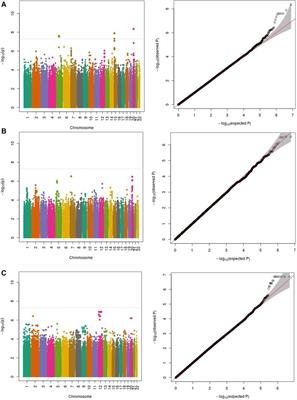 Genetic drivers of human plasma metabolites that determine mortality in heart failure patients with reduced ejection fraction